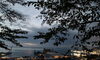 今朝の小樽港「Good morning Otaru」