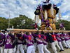「【2022年】10/18（火）八旛神社かきくらべ、白熱しています！」