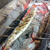 秋刀魚「秋刀魚」