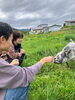 「七飯町「はらっぱひろば」開催報告｜ヤギふれあいや絵本に包まれたのどかな一日【馬のいる寺子屋】」