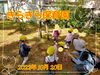 「秋発見☆【交野市・小規模保育園】」