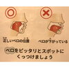 ベロの位置について