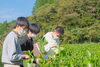「釜炒り茶体験」