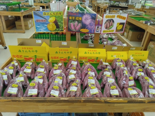 里浦産の鳴門金時「新鮮な野菜が入荷してますよ」