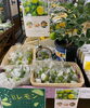 「江刺ふるさと市場で販売中です！」