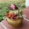 空き缶リメイク✕多肉植物 | ハンドメイドマルシェ ぺルルコットンの