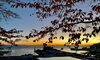 今朝の小樽港「Good morning Otaru」
