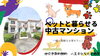 費用を抑えたい！仲介手数料無料八王子ひなた不動産へ「ペットと暮らせる✨松が谷の中古マンション」