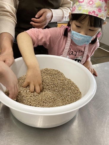 麦味噌仕込み会「6月は食育月間です！身近な絵本でたべもの教室！」