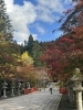 高野山の紅葉「５周年」
