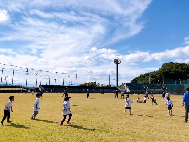 「【子どもスポーツ体験】高崎KidsSportsClub【球場で遊ぼう！】」