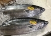 「魚魚市場鮮魚コーナーおすすめは「カツオ」です♪」