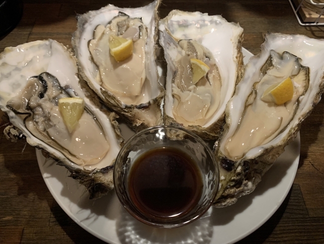 「【まいポ加盟店紹介】鎌ケ谷市内でまいぷれポイントが貯まる飲食店をご紹介♪」