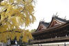 吉備津神社「問屋町レンタル着物　着付け教室　11月はロケ撮影がたくさん　七五三　持ち込み料無料でお着付します」