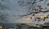 今朝の小樽港「Good morning Otaru」