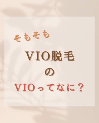 VIOってなに？「VIO脱毛ってなあに？【伊丹のセルフ脱毛とタイ古式マッサージ】アロママッサージもみほぐしもあります」