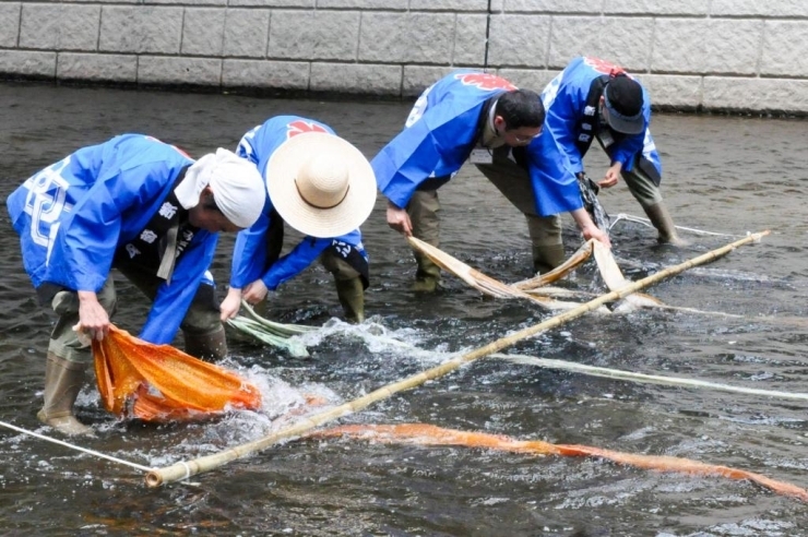 昔の染め物の水洗いの様子を再現した染色イベント「水元」 (写真提供：新宿区)