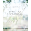 photo noriko sejiri「* 11/6〜11/12 守護天使のメッセージ」