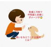 「冬を迎える準備はできていますか？」