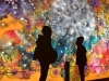 お気に入り写真♡「一番スキな季節【まいぷれ・西京区・南区・編集部】」