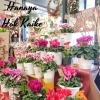 「[はなやHOK皆生店]模様替え完了です♪」