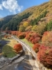 おおさ源流公園「連日、紅葉を見ています！」