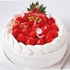 グリムのクリスマスケーキ( ᴖ ·̫ ᴖ )