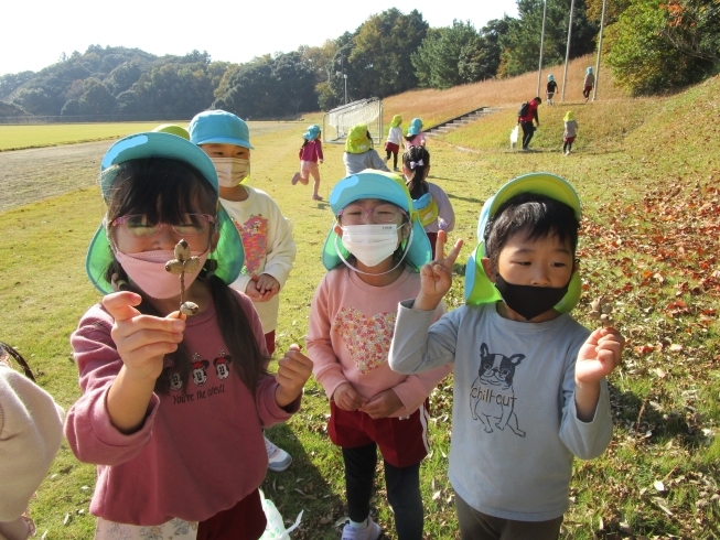 赤ちゃんどんぐり　み～つけた☆彡「玉造小学校でまた会おうね♪」