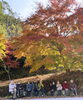 個人のお宅の敷地、大きな石に座らせていただいて笑顔「紅葉を見に行きましたP2」