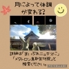 月によって体調が変わる？「【月によって体調がかわる？】エネルギーがアップ☝︎メタトロン遠隔ヒーリングにてさらに元気に メタトロン鳥取　米子　松江」