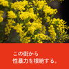 『この街から性暴力を根絶する』　(有)長岡美装社SDGｓプロジェクト
