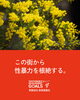 「『この街から性暴力を根絶する』　(有)長岡美装社SDGｓプロジェクト」