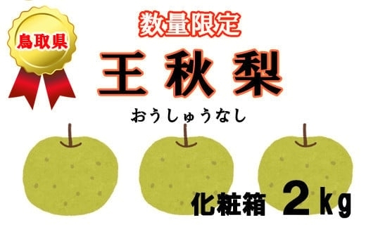 「締切間近！鳥取県産【王秋梨】（おうしゅう）」