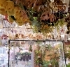 「【はなやホック皆生店】売れてるドライフラワー」