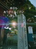 「《明日11/14(月)は定休日になります》」