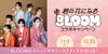 「DAMでは、火曜ドラマ『君の花になる』8LOOMコラボキャンペーン開催中！」