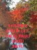 「☆11月の定休日☆」