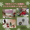 「今年もリリアン出雲店にXmasがやって来ました！」