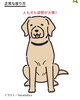 「人も犬も姿勢が大事✨」