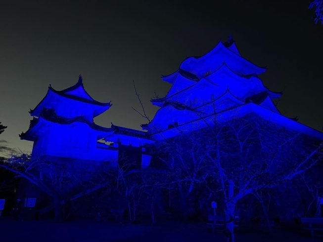 上野城ライトアップ～世界糖尿病デー「上野城ライトアップ♪」