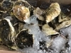 「魚魚市場鮮魚コーナーおすすめは「お魚の切り身各種」です♪」