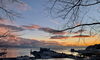 今朝の小樽港「Good morning Otaru」