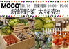 11/18　野菜特売「11/18　新鮮野菜 大特売✧*｡٩(ˊᗜˋ*)و✧*｡」