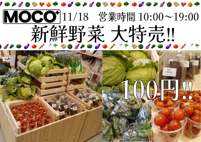 11/18　野菜特売「11/18　新鮮野菜 大特売✧*｡٩(ˊᗜˋ*)و✧*｡」