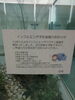 「コロナワクチン、インフルエンザワクチン接種できますよ！」