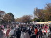 「秋晴れで大賑わい♪【かつしかフードフェスタ2022】葛飾区史上最大のグルメイベント！3年ぶりに新小岩公園で開催！初日2022年11月19日（土）の様子」