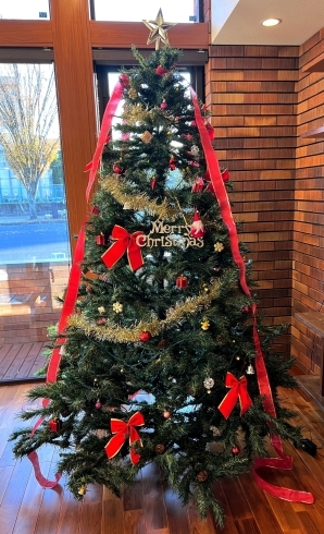 「クリスマスツリーを飾りました♪【水戸・笠間で新築・注文住宅建てるならイサカホーム】」