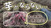 「【病気解決には光明が！】サツマイモ基腐病を抑制するならこれで決まり♪ タネのハシモト」