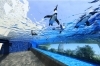 「サンシャイン水族館」