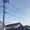 白鳥の飛来「【リハビリ】白鳥がやってきました」